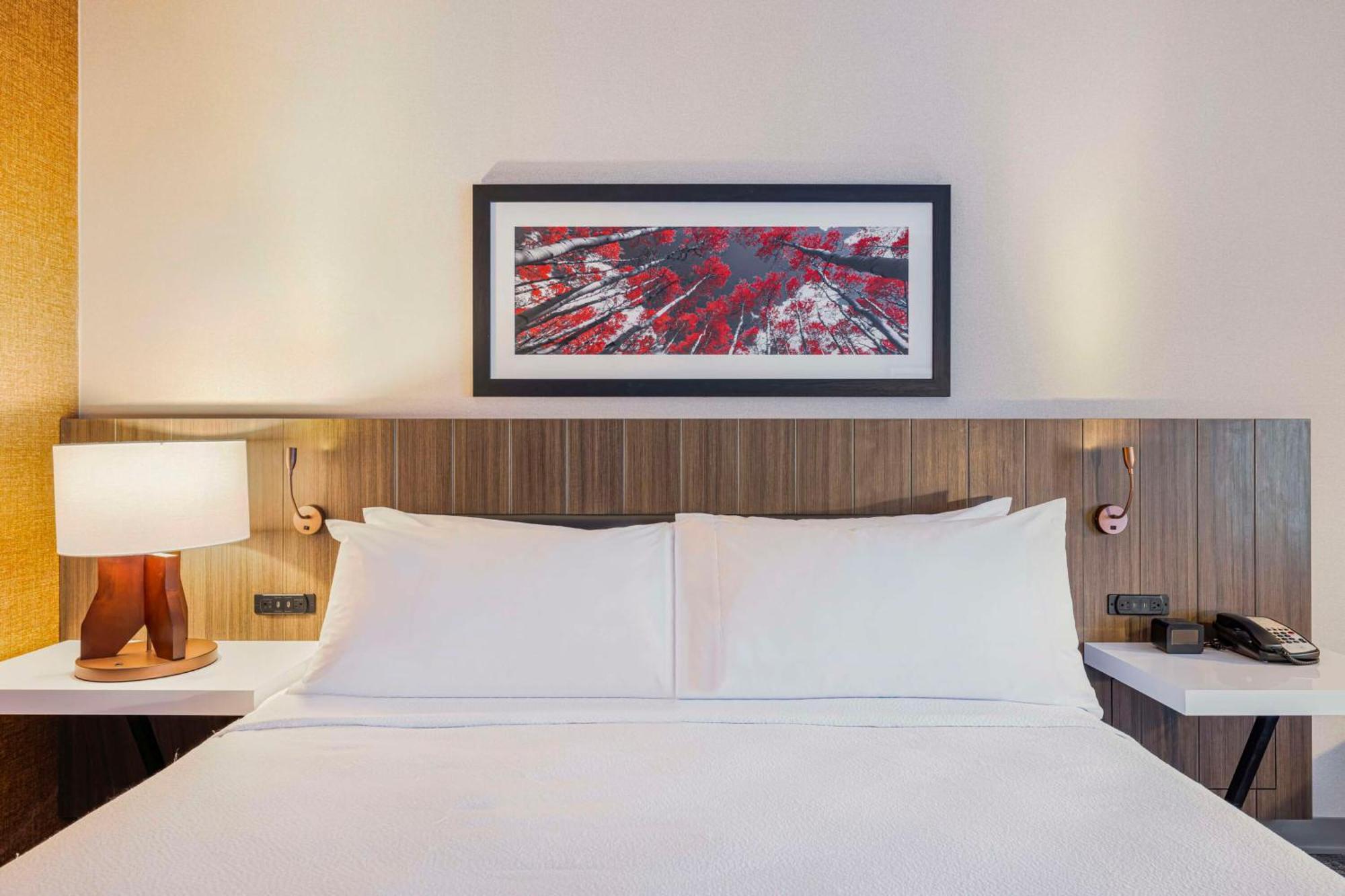 Hilton Garden Inn Colorado Springs Airport Zewnętrze zdjęcie